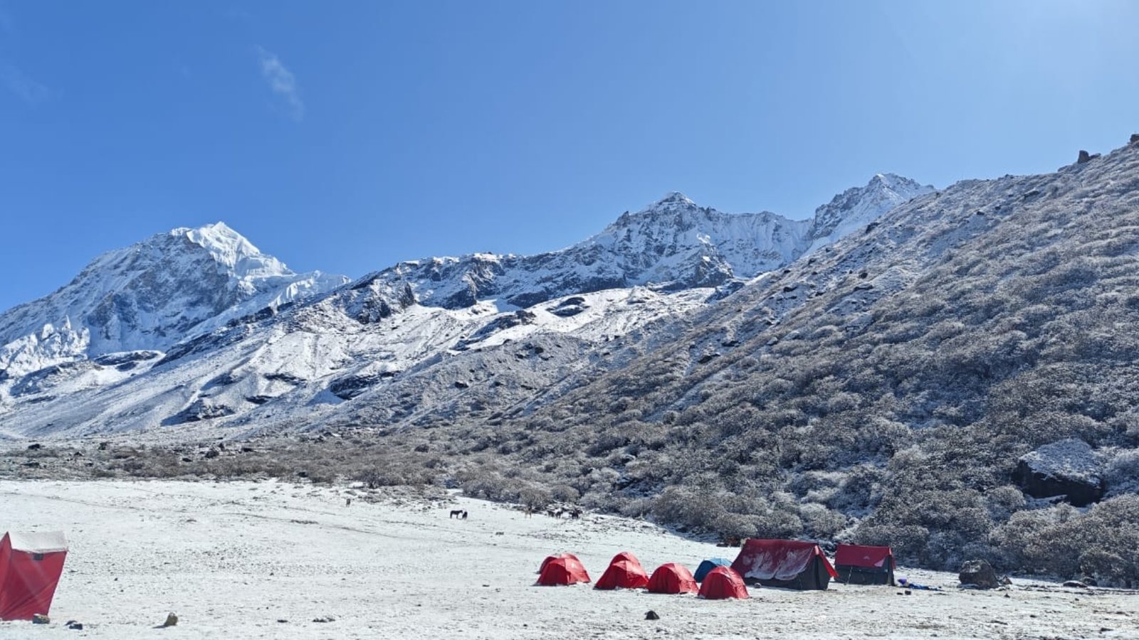 Mountain trekking Kanchenjunga base camp